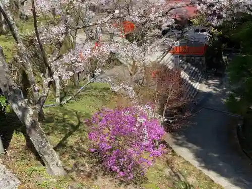 金櫻神社の景色