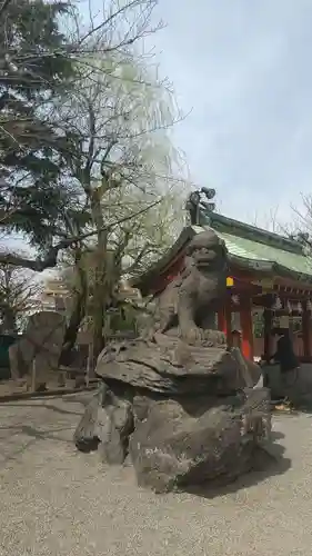 浅草神社の狛犬