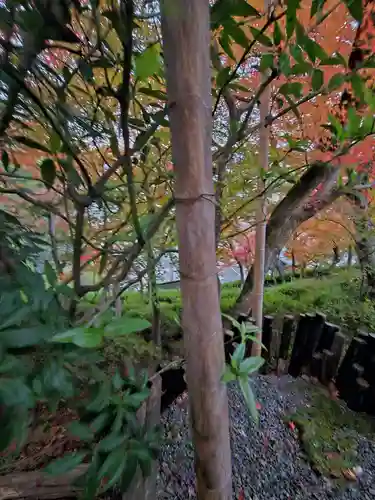 華厳寺（鈴虫寺）(京都府)
