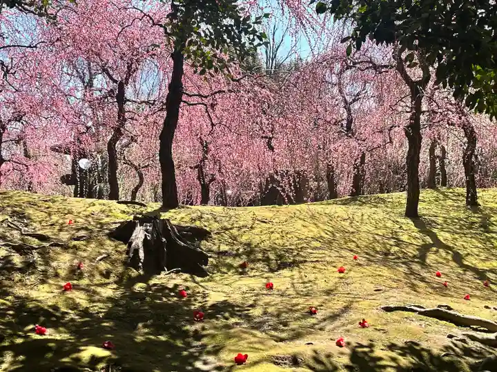 城南宮(京都府)