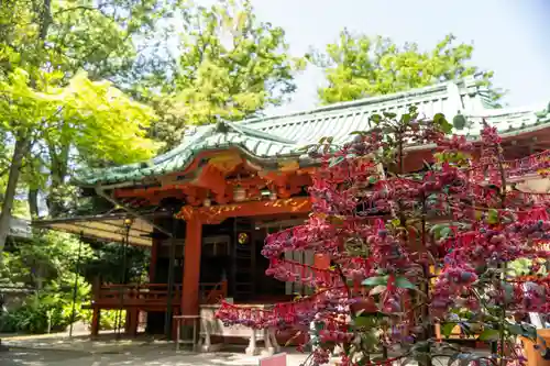 赤坂氷川神社(東京都)