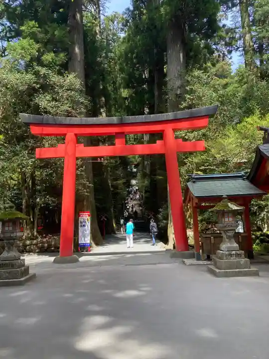 箱根神社の鳥居