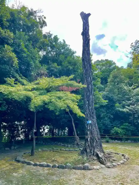 春日神社(神奈川県)