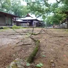 諫早神社（九州総守護  四面宮）(長崎県)