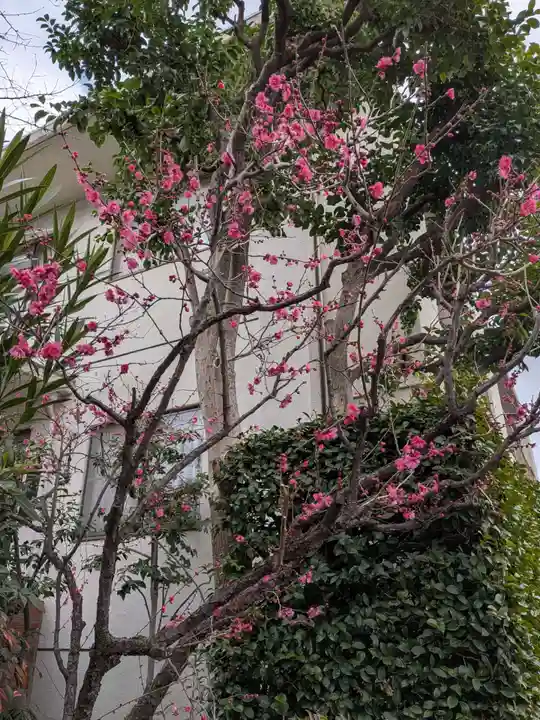 麻布氷川神社(東京都)