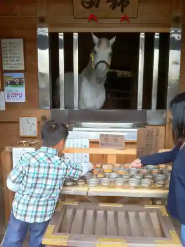 多度大社の動物