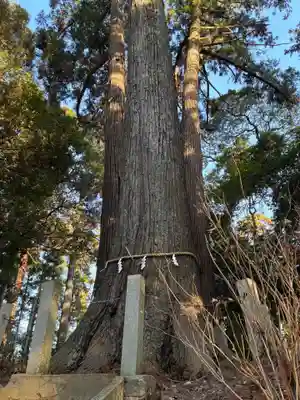 木内大神(千葉県)