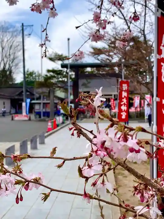 櫻岡大神宮の自然