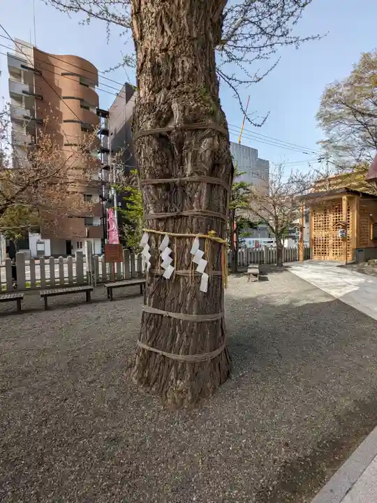 北海道神宮頓宮の自然