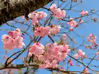 三津厳島神社(愛媛県)