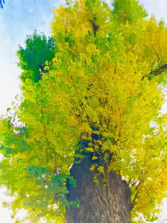 常福寺(茨城県)