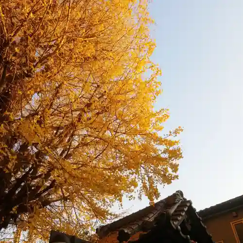 稼穡稲荷社の自然