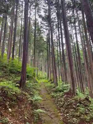 五社神社の周辺