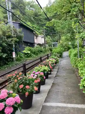 御霊神社の周辺