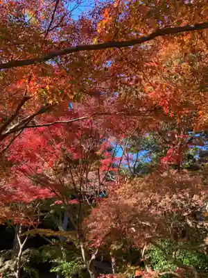 覚園寺(神奈川県)
