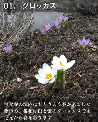 宝光寺(北海道)