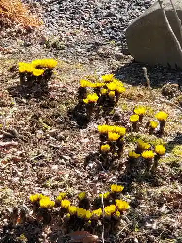 石都々古和気神社(福島県)