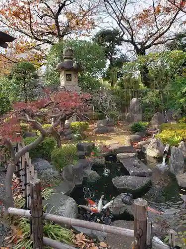 永平寺別院長谷寺の庭園