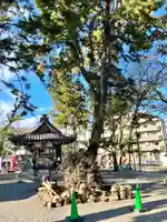 樹下神社(滋賀県)