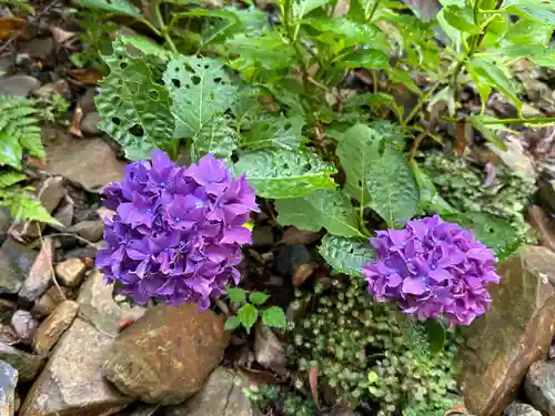 大縣神社(愛知県)