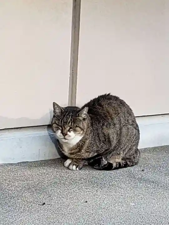 白金氷川神社の動物