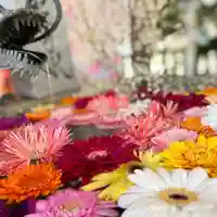 札幌諏訪神社の手水舎