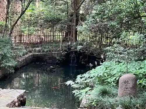武蔵一宮氷川神社(埼玉県)