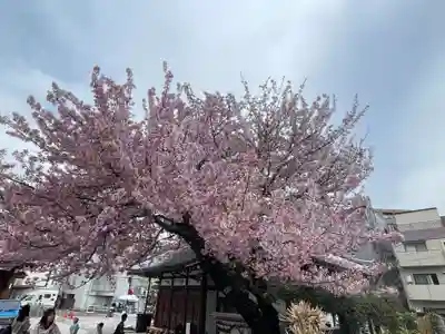 感通寺の御朱印