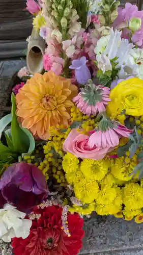 勝林寺(京都府)