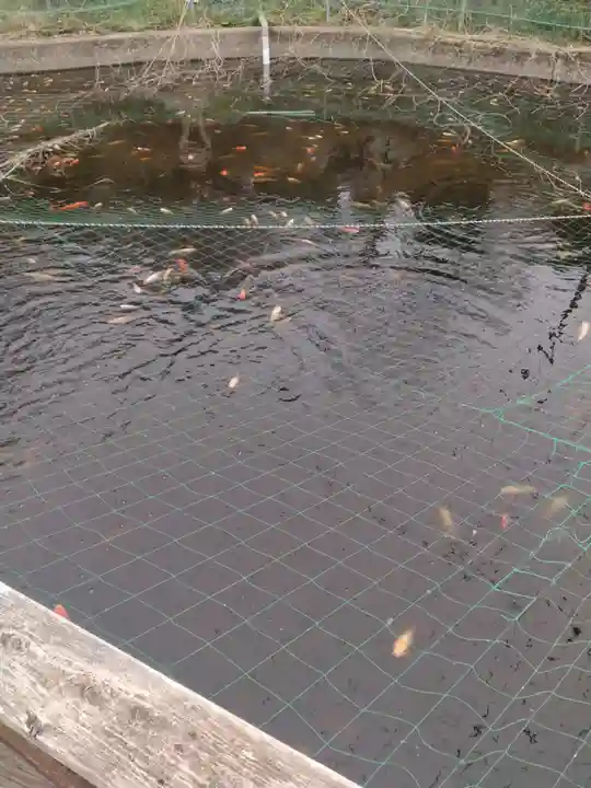 大國神社(宮城県)