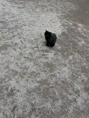 薦神社(大分県)