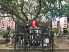 安房口神社(神奈川県)