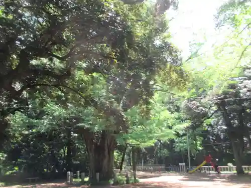 赤坂氷川神社(東京都)