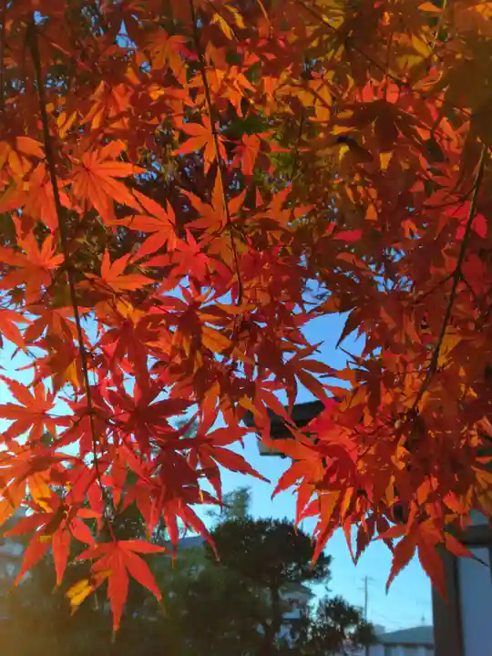 正樂寺(神奈川県)