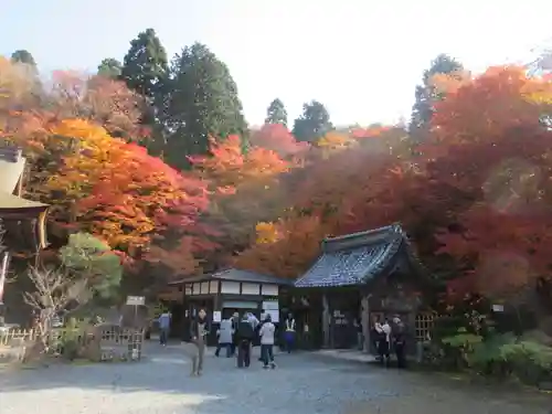 百済寺の建物その他