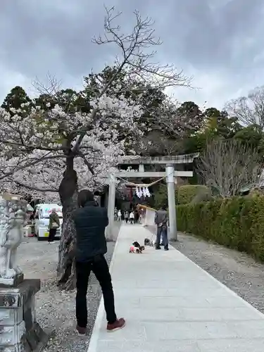 小川諏訪神社の庭園