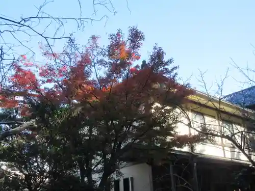 安國論寺（安国論寺）のその他建物