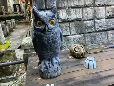 大山寺(神奈川県)