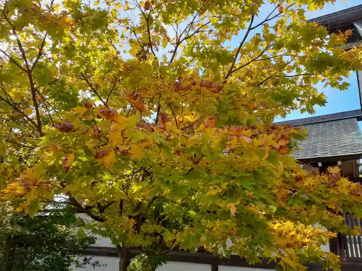 秋田県護國神社(秋田県)