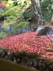 永源寺の自然