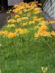 横浜　西方寺の自然