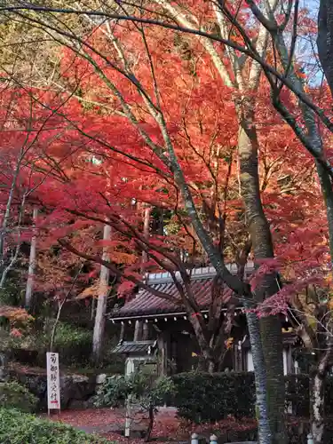 西教寺(滋賀県)