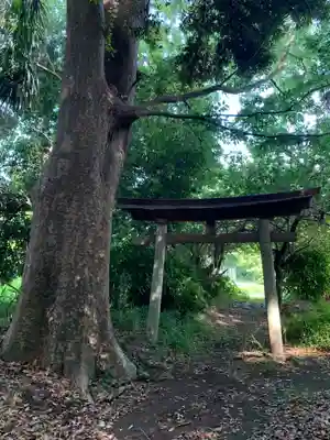 弁財天(千葉県)