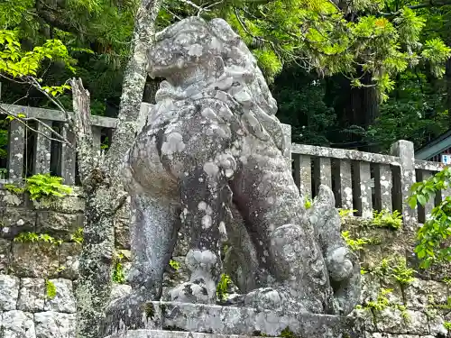 戸隠神社中社の狛犬