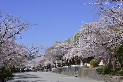 富士山本宮浅間大社(静岡県)