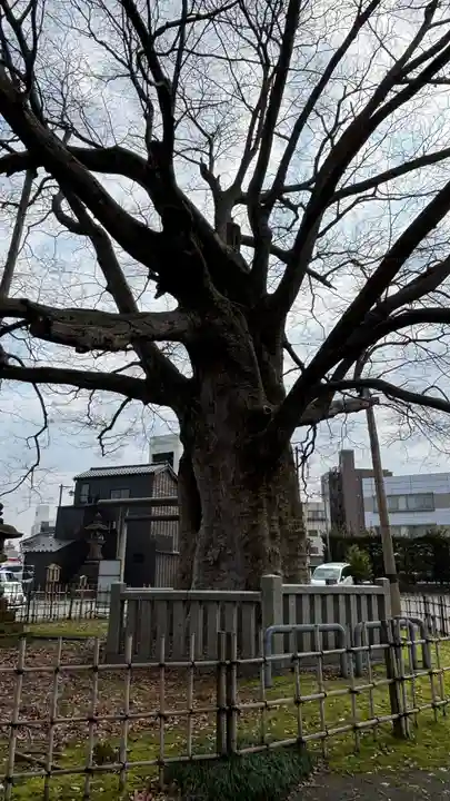 神明宮(石川県)