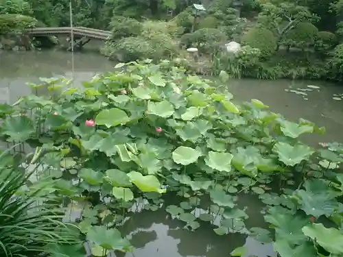 光明寺の庭園