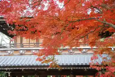 功山寺(山口県)