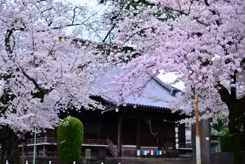 寛永寺(根本中堂)の本殿・本堂