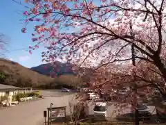 楽法寺（雨引観音）の自然